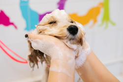 bath3