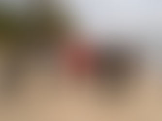 sysbio.lv final meeting in Kolka