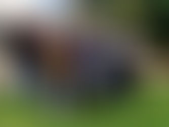 SBOL meeting in Newcastle