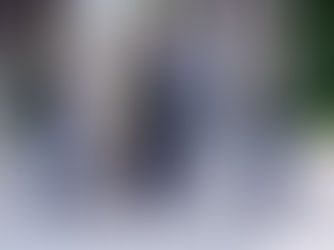 MOSBIO meeting and training course in Finland