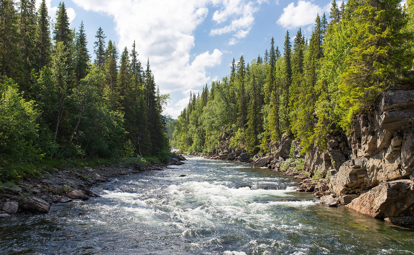 river-1209025.jpg