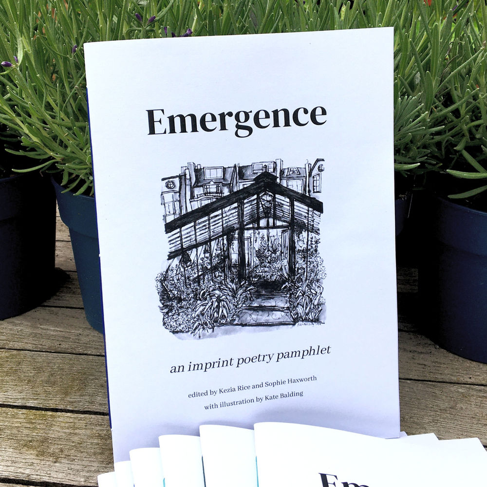 Creative and descriptive writing image