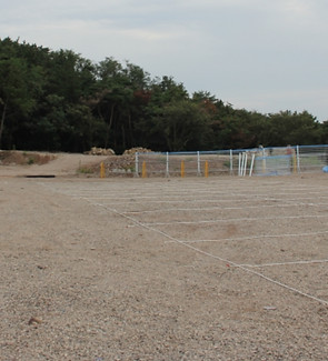K-20250809-483432.jpg