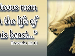 Facebook Cover - Proverbs 12:10