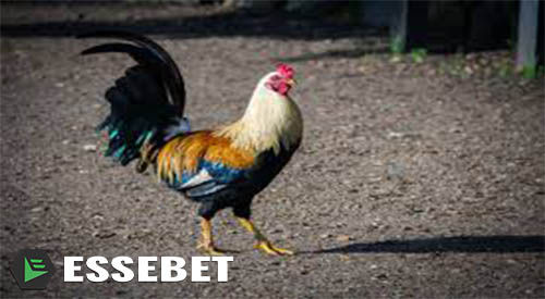 ree