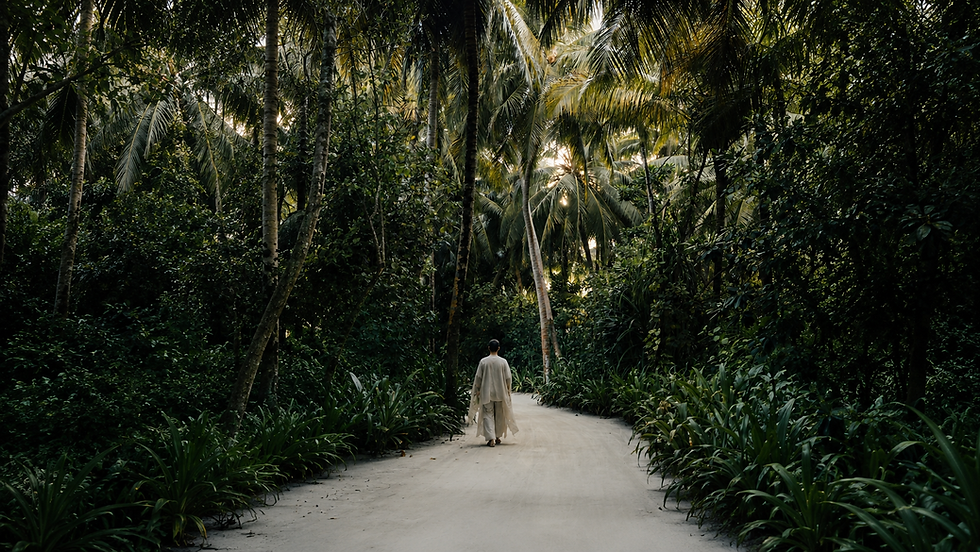 Person walking on a path through a dense tropical jungle.