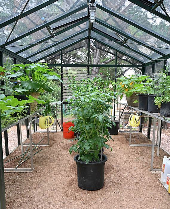 Thumbnail: Royal Victorian VI 34 Greenhouse (15 ft L x 10 ft W)