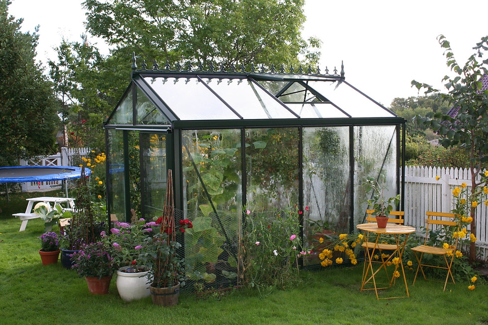 Thumbnail: Royal Victorian VI 23 Greenhouse (10 ft L x 8 ft W)