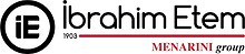 ie logo.png