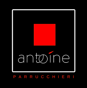 Logo Attività tutte (5).png