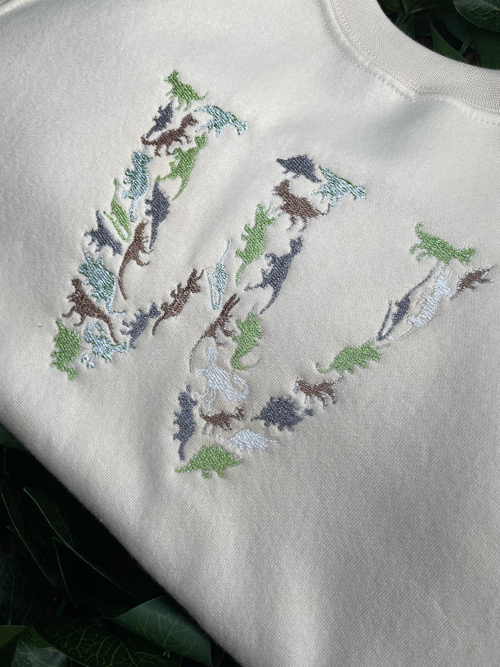 Thumbnail: Kids Embroidered Dinosaur Initial Sweatshirt