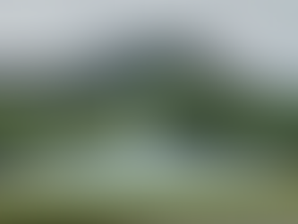 Aloha Hawaii - First port is Honolulu