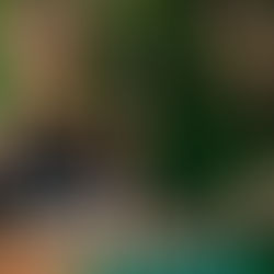 eine Yogini mit schwarzen Top Hände im Chin Mudra, Aufschrift "Yoga Branchen Report 2026"