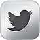 Twitter Metallic