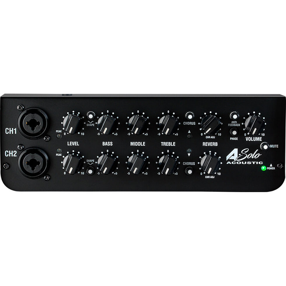 Miniatura: LANEY A-SOLO COMBO 1X8"- 60 W AMPLIFICATORE ACOUSTIC