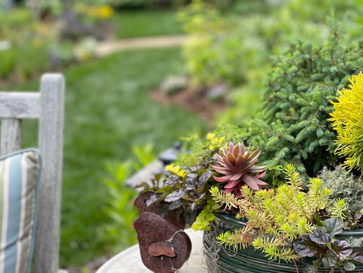 Garden Bird Statuary