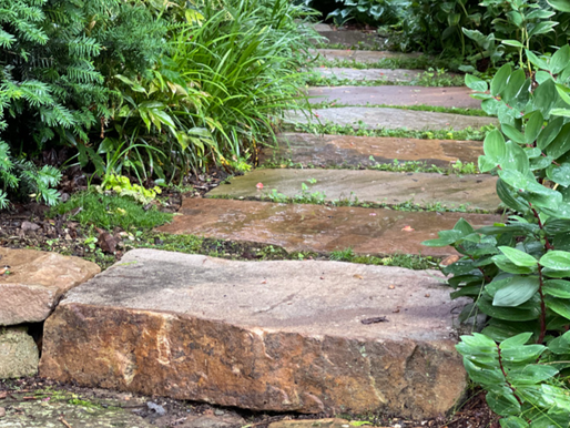 Steps Leading Up in a Garden