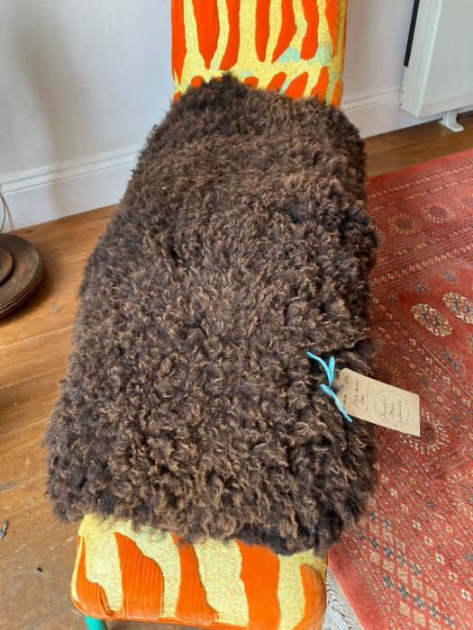 125. Black Cheviot Living Sheep Fleece Rug. Max 100 x 60cm.