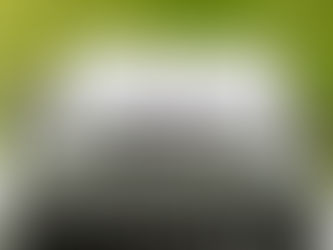 Din ledelse - en superkraft