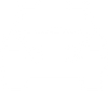Mobile Patrol