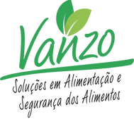 Logo Vanzo duas linhas .png