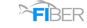 Fiber.jpg