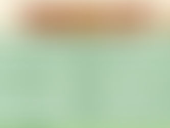 11月PM授权跨境電商平台- 飞来电商/海狗爸爸 (3个月自动购货计划 / 达标 11月4日下午一時開售)