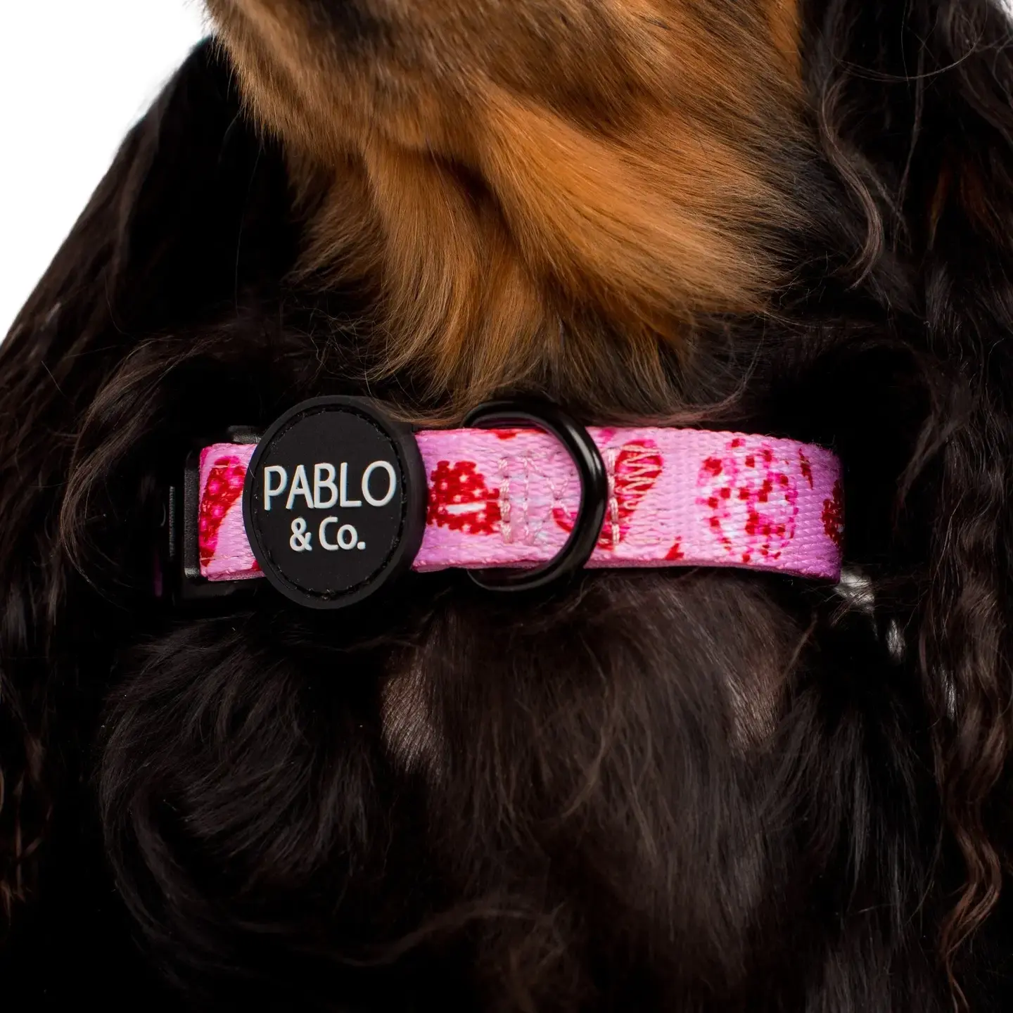 Pablo & Co: DISCO COWGIRL: Collars: PINK
