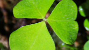 [365 jours de nature] - jour 143