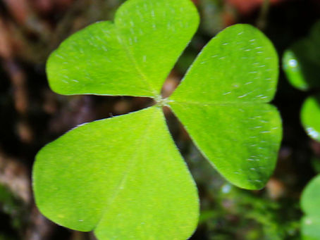 [365 jours de nature] - jour 143