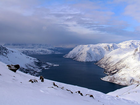 [365 jours de nature] - Jour 5