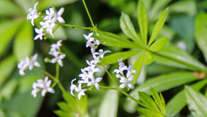 Bain de nature - bain de couleurs