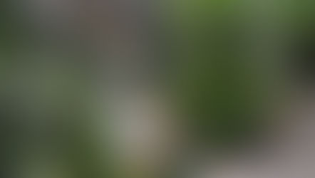 Cinq jours de jeûne en itinérance dans le Buëch