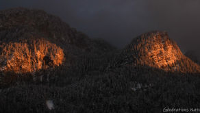 [365 jours de nature] - jour 77