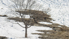 [365 jours de nature] - jour 56