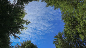 Les nouveaux "Mô" de civilisation