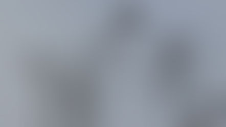 [365 jours de nature] - Jour 2