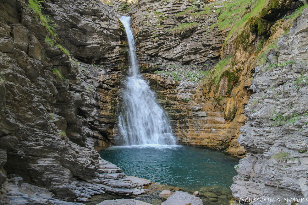 Jeûner dans un écrin de Nature