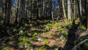 [365 jours de nature] - jour 98