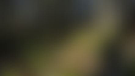 [365 jours de nature] - jour 98