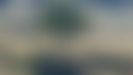 [365 jours de nature] - jour 241