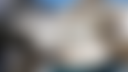 L'énergie vibratoire de la nature