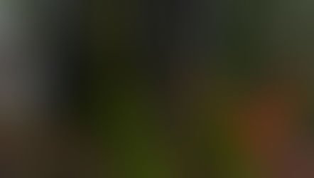 [365 jours de nature] - Jour 28