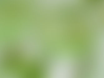 Atelier conférence  : 
La détox : pourquoi ? Comment ? Quand et pour qui ?