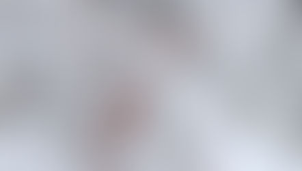 [365 jours de nature] - jours 307