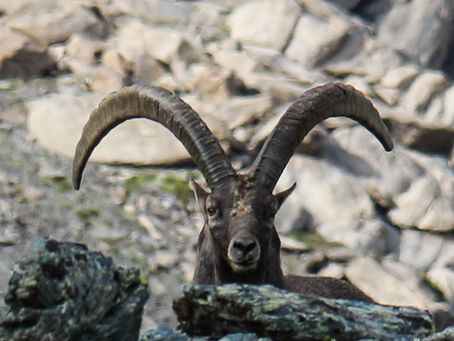 7 jours de jeûne en plein coeur des montagnes de l'Ubaye