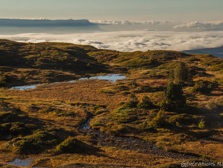 [365 jours de nature] - jours 265 & 266