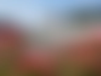 Tyne Cot Memorial, CWGC, Ypres Salient, Ieper, Royal Scots, Third Battle of Ypres, L/Cpl James Hoggan, Muiravonside, Falkirk