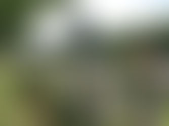 Ypres Town Cemetery Extension