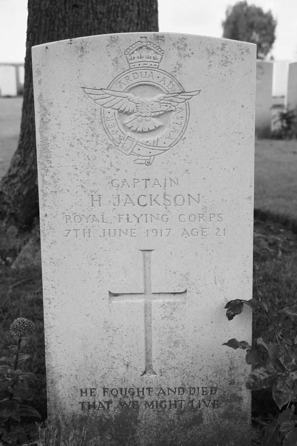 Chester Farm Cemetery, CWGC, Ypres, Ieper, The Bluff, Palingbeek, Flanders
